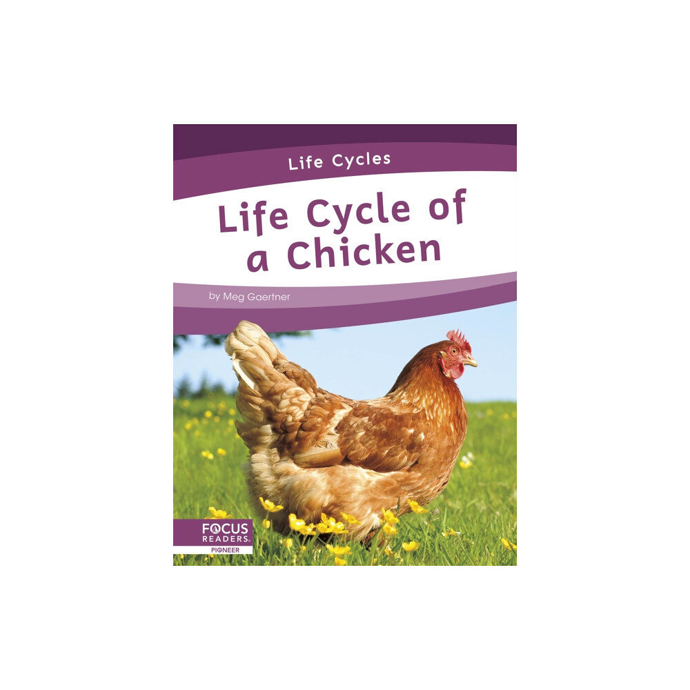 North Star Editions Life Cycles: Life Cycle of a Chicken (häftad, eng)