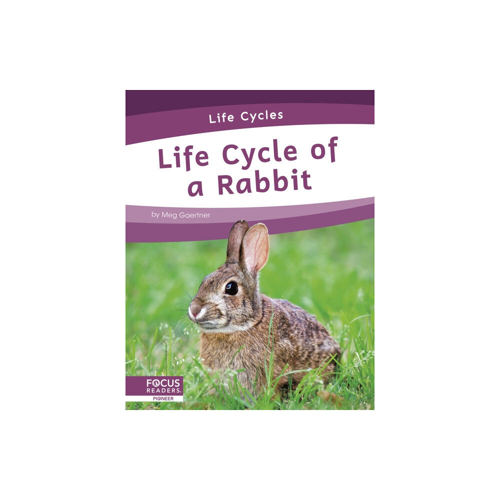 North Star Editions Life Cycles: Life Cycle of a Rabbit (häftad, eng)