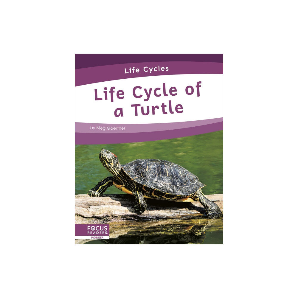 North Star Editions Life Cycles: Life Cycle of a Turtle (häftad, eng)