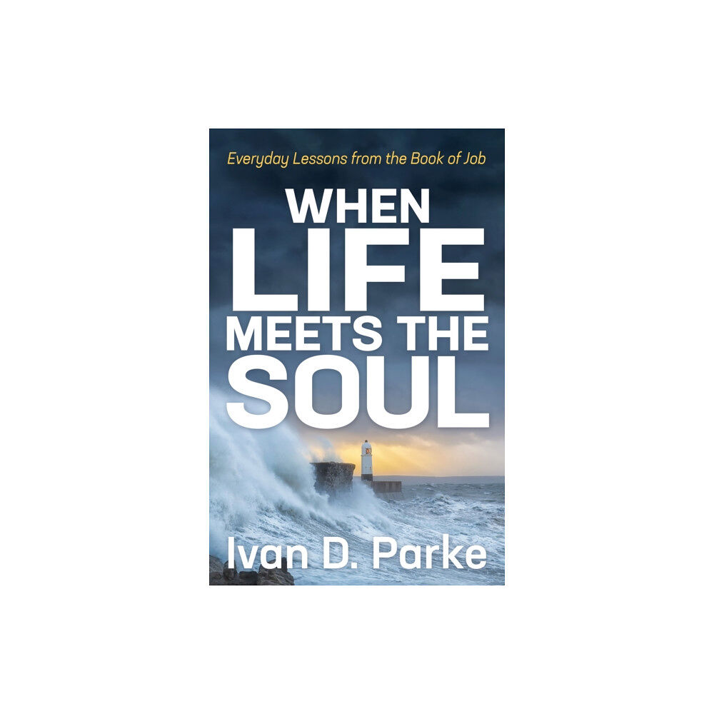 Morgan James Publishing llc When Life Meets the Soul (häftad, eng)