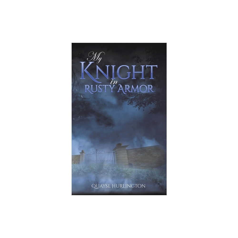 Austin Macauley Publishers LLC My Knight in Rusty Armor (häftad, eng)