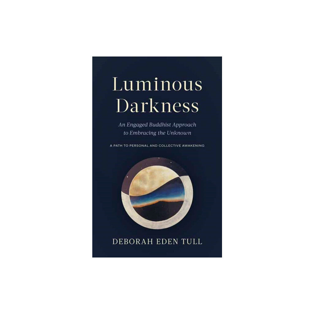 Shambhala Publications Inc Luminous Darkness (häftad, eng)