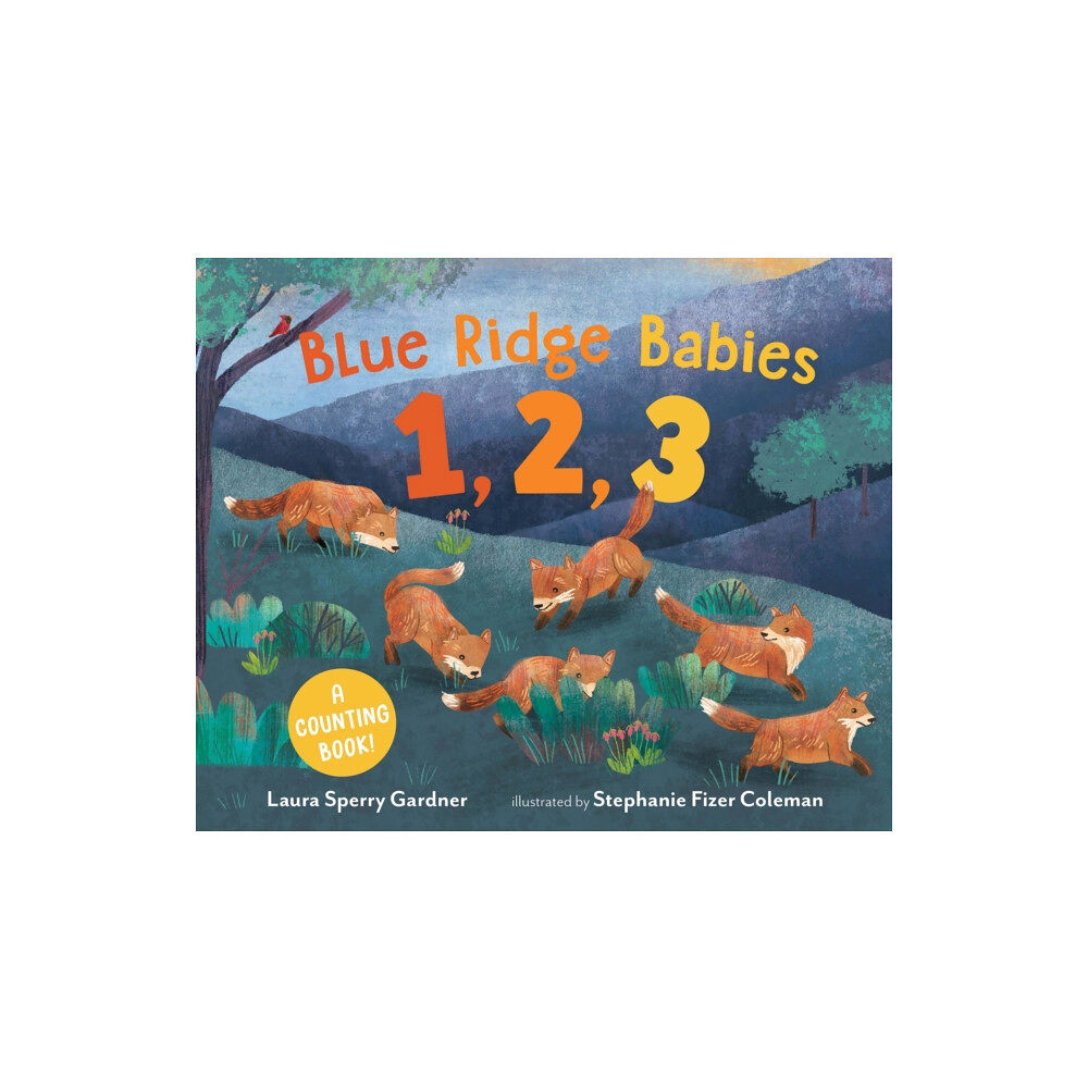 Page Street Publishing Co. Blue Ridge Babies 1, 2, 3 (inbunden, eng)