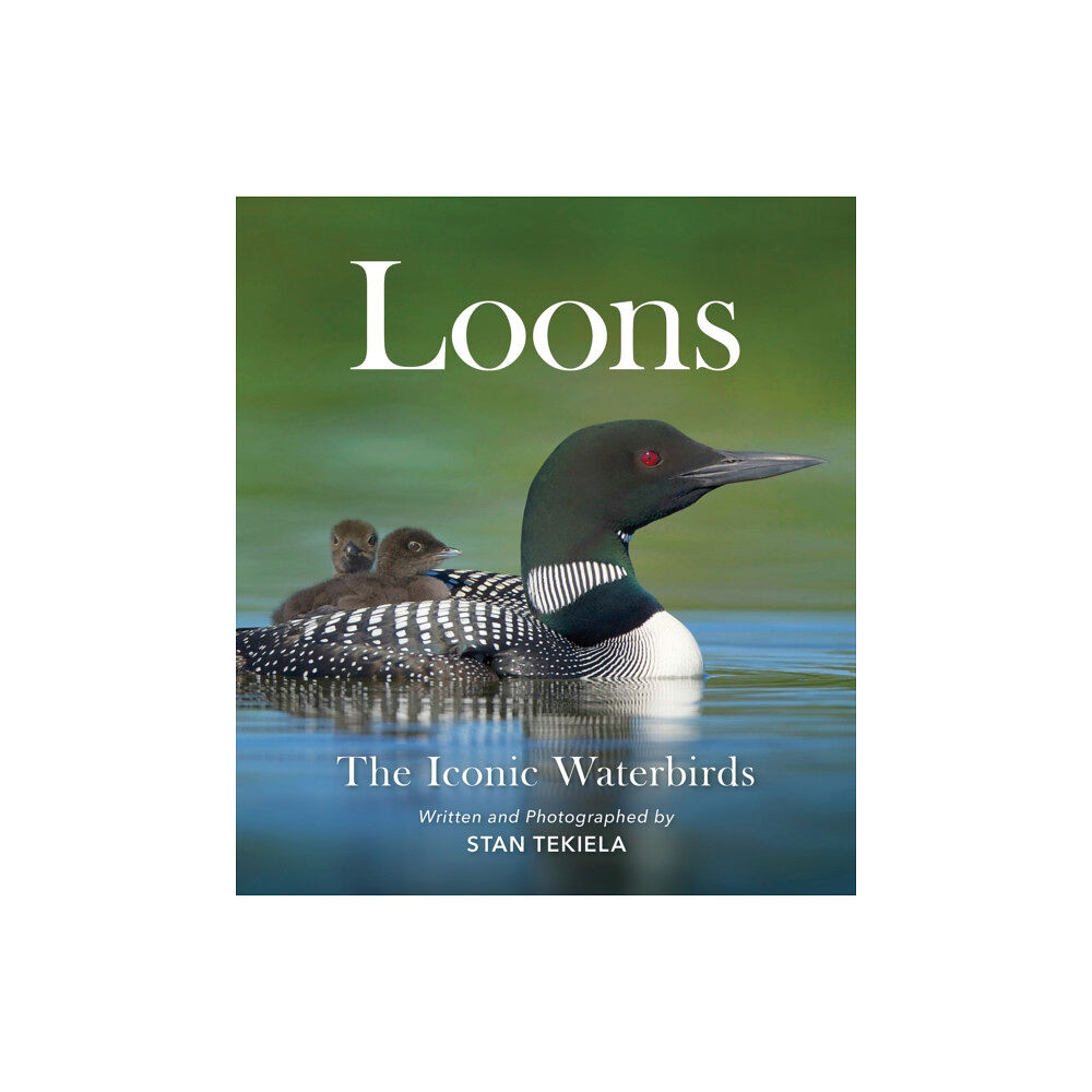 Adventure Publications, Incorporated Loons (häftad, eng)