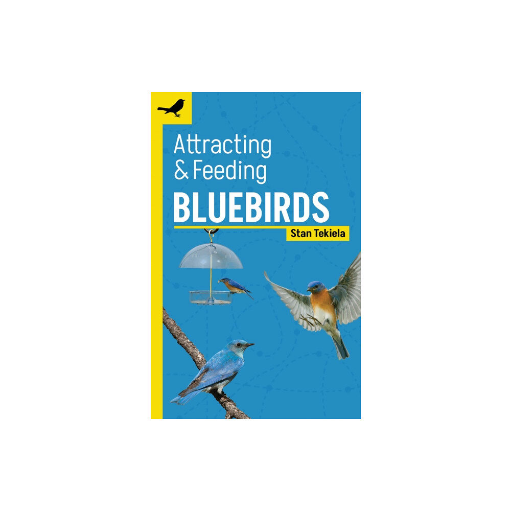 Adventure Publications, Incorporated Attracting & Feeding Bluebirds (häftad, eng)