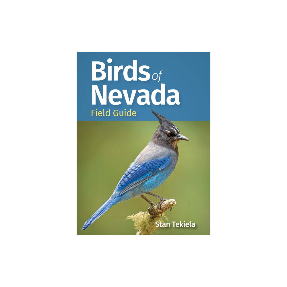 Adventure Publications, Incorporated Birds of Nevada Field Guide (häftad, eng)