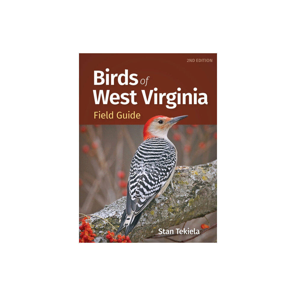 Adventure Publications, Incorporated Birds of West Virginia Field Guide (häftad, eng)