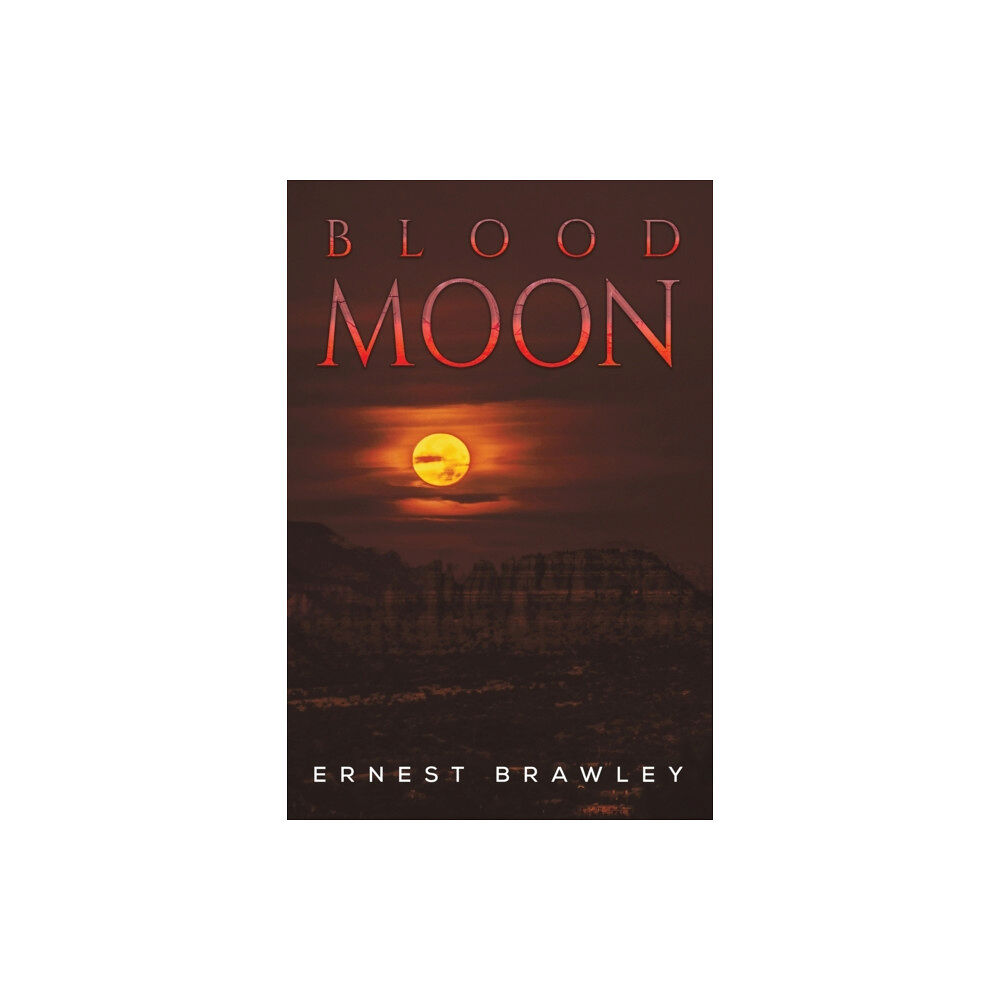 Austin Macauley Publishers LLC Blood Moon (häftad, eng)