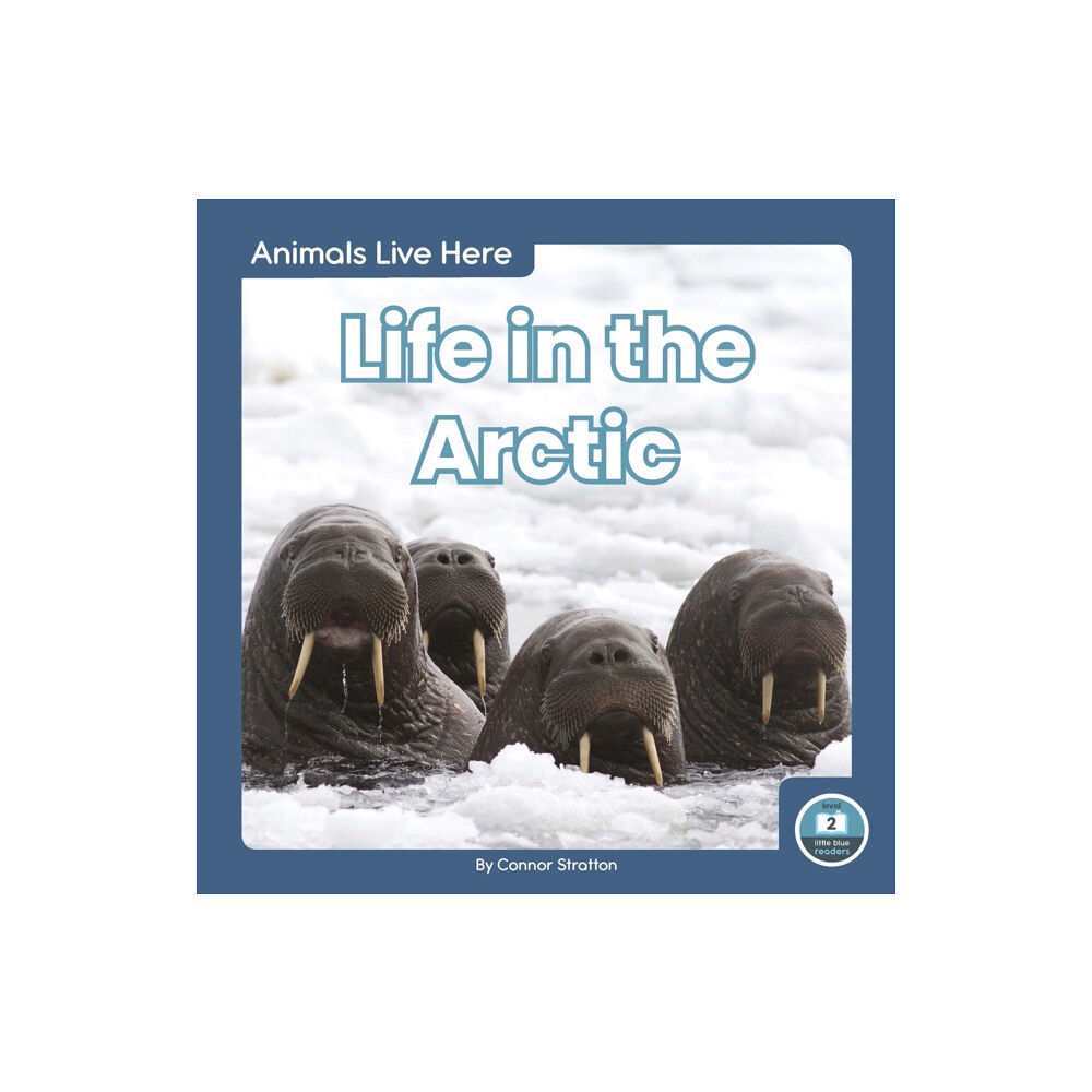 North Star Editions Animals Live Here: Life in the Arctic (häftad, eng)