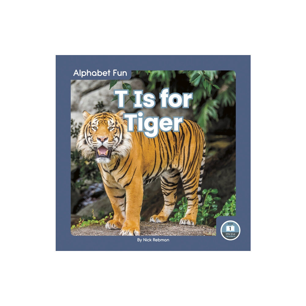 North Star Editions Alphabet Fun: T is for Tiger (inbunden, eng)