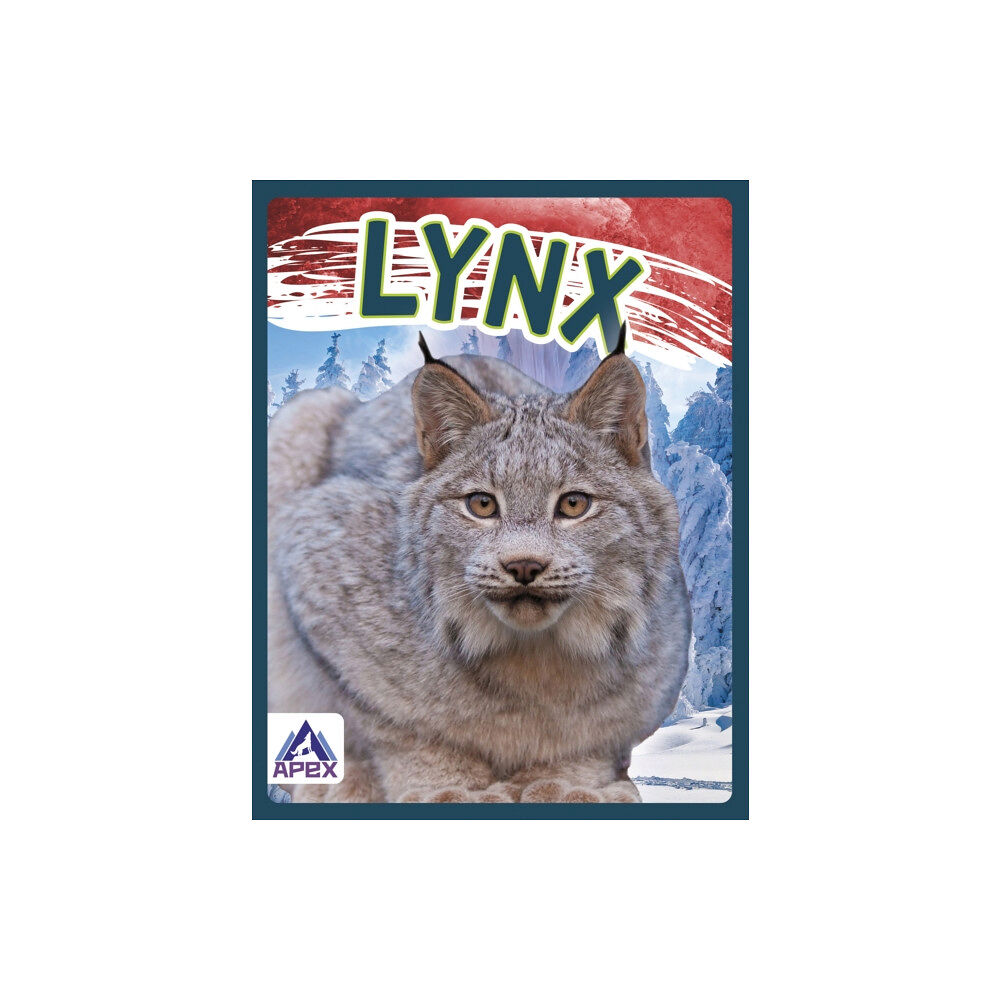 North Star Editions Wild Cats: Lynx (häftad, eng)