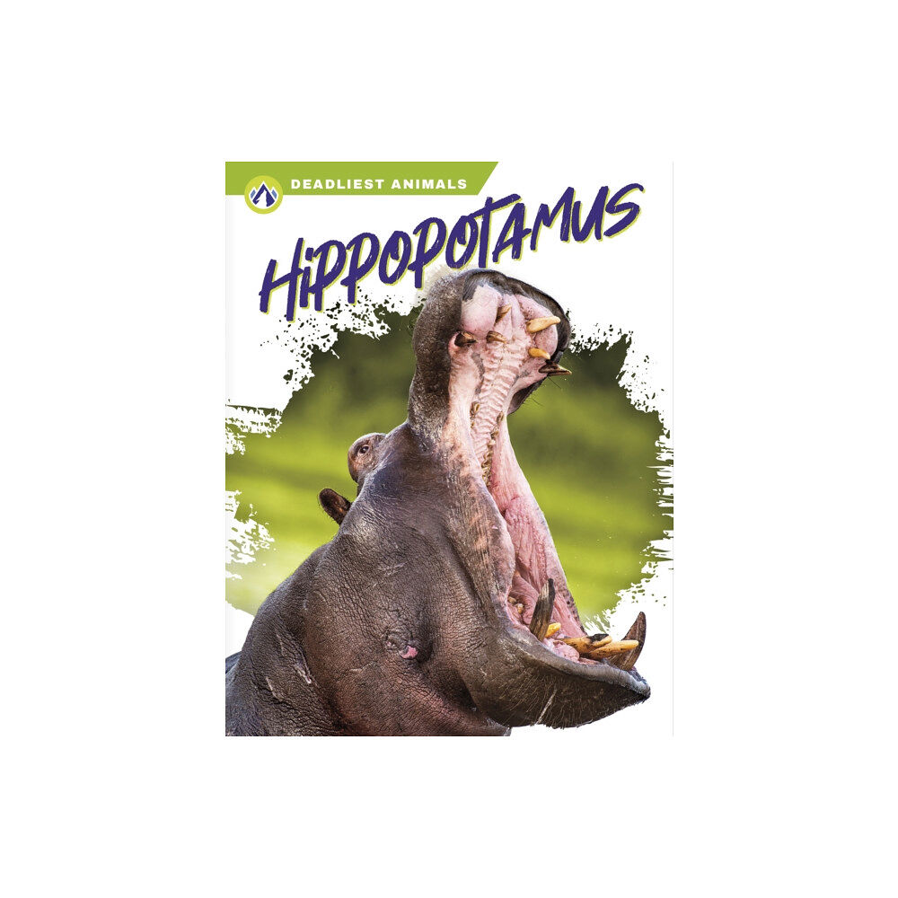 North Star Editions Deadliest Animals: Hippopotamus (inbunden, eng)