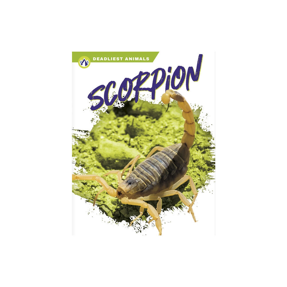 North Star Editions Deadliest Animals: Scorpion (häftad, eng)