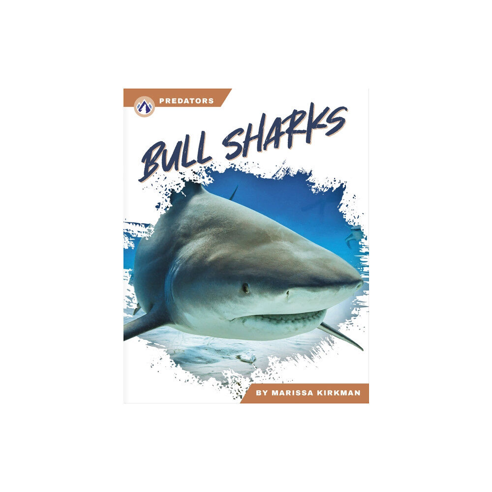 North Star Editions Predators: Bull Sharks (häftad, eng)