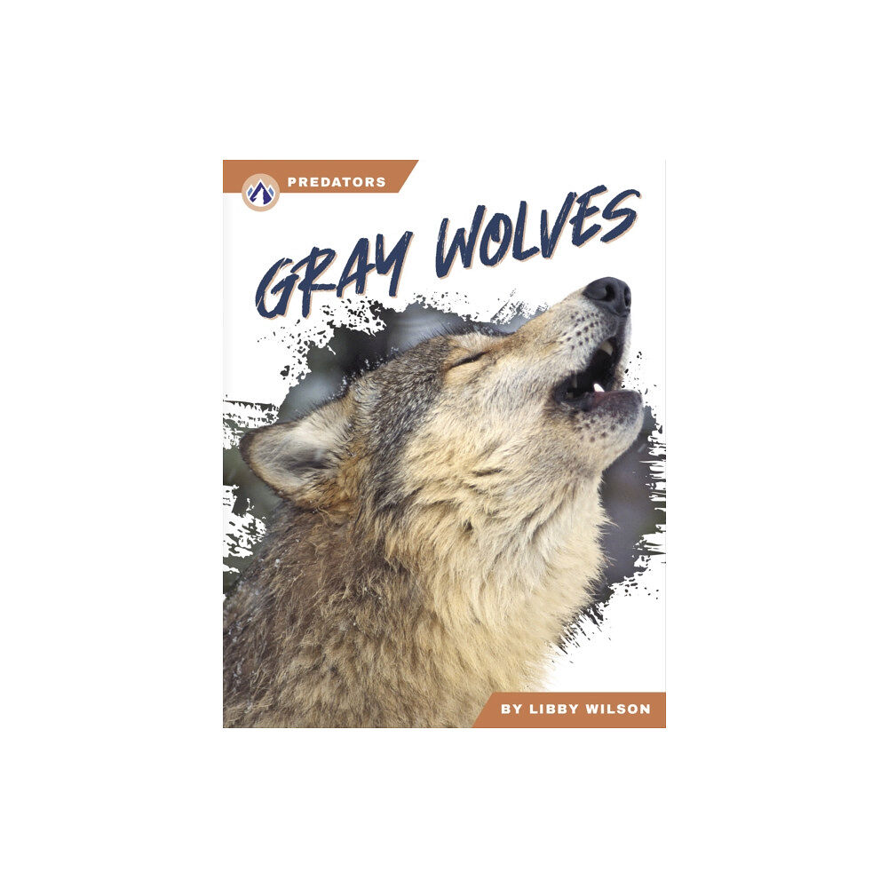 North Star Editions Predators: Gray Wolves (häftad, eng)