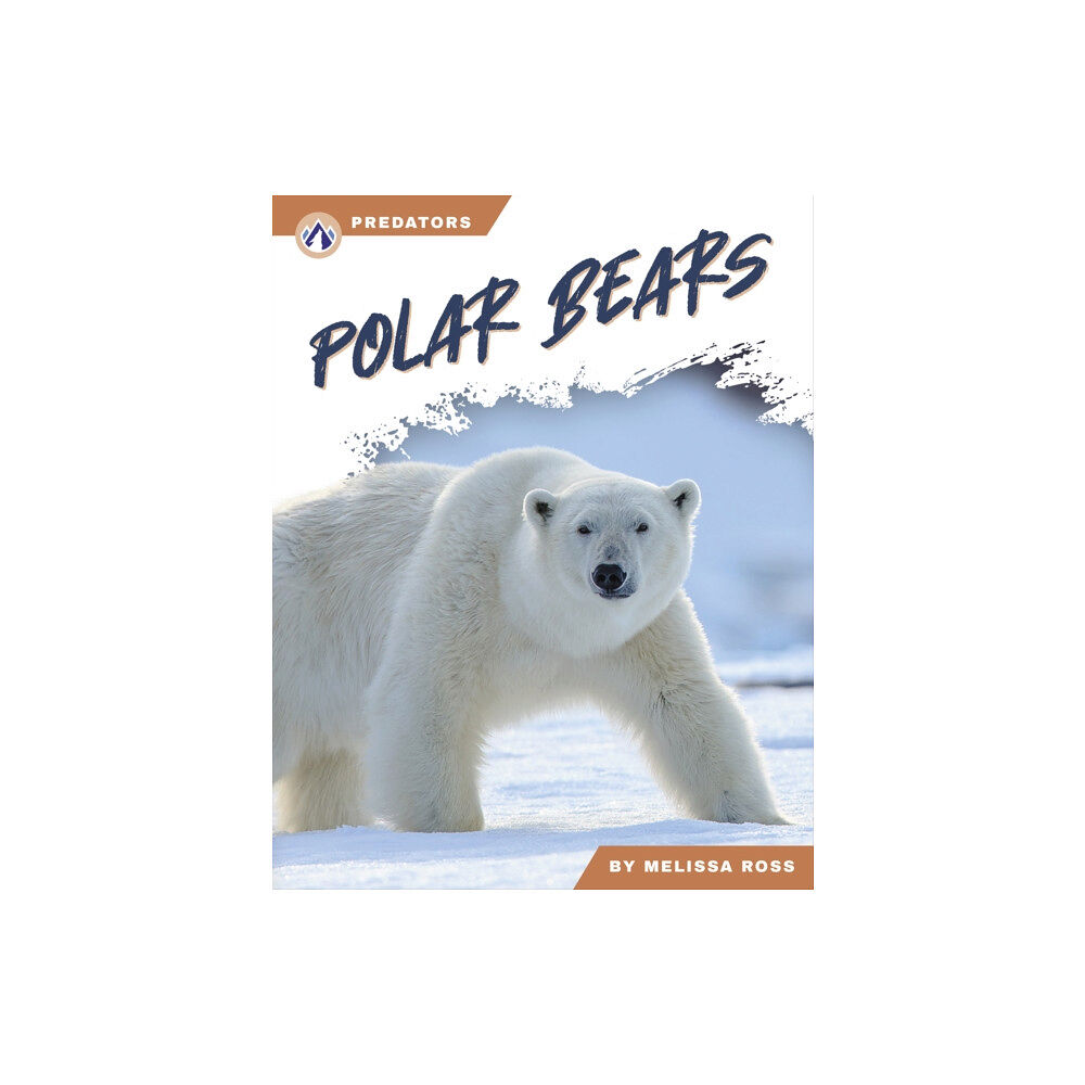 North Star Editions Predators: Polar Bears (häftad, eng)