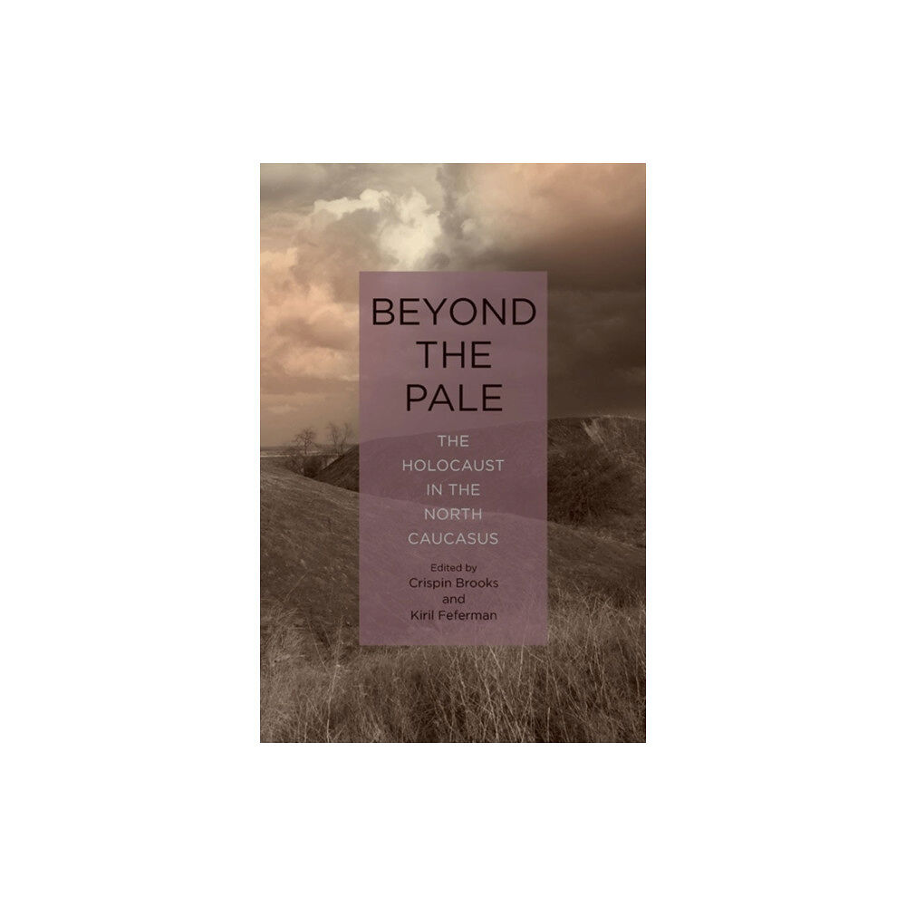 Boydell & Brewer Ltd Beyond the Pale (inbunden, eng)