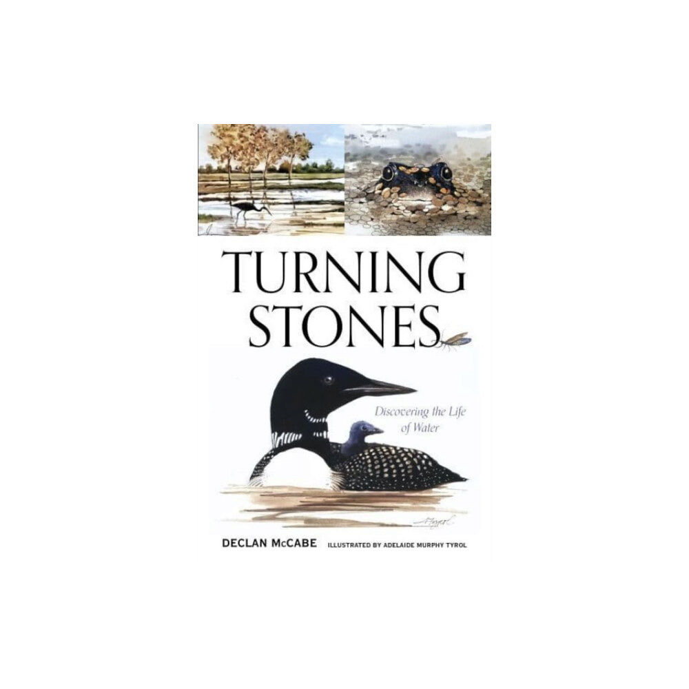 Rowman & littlefield Turning Stones (häftad, eng)