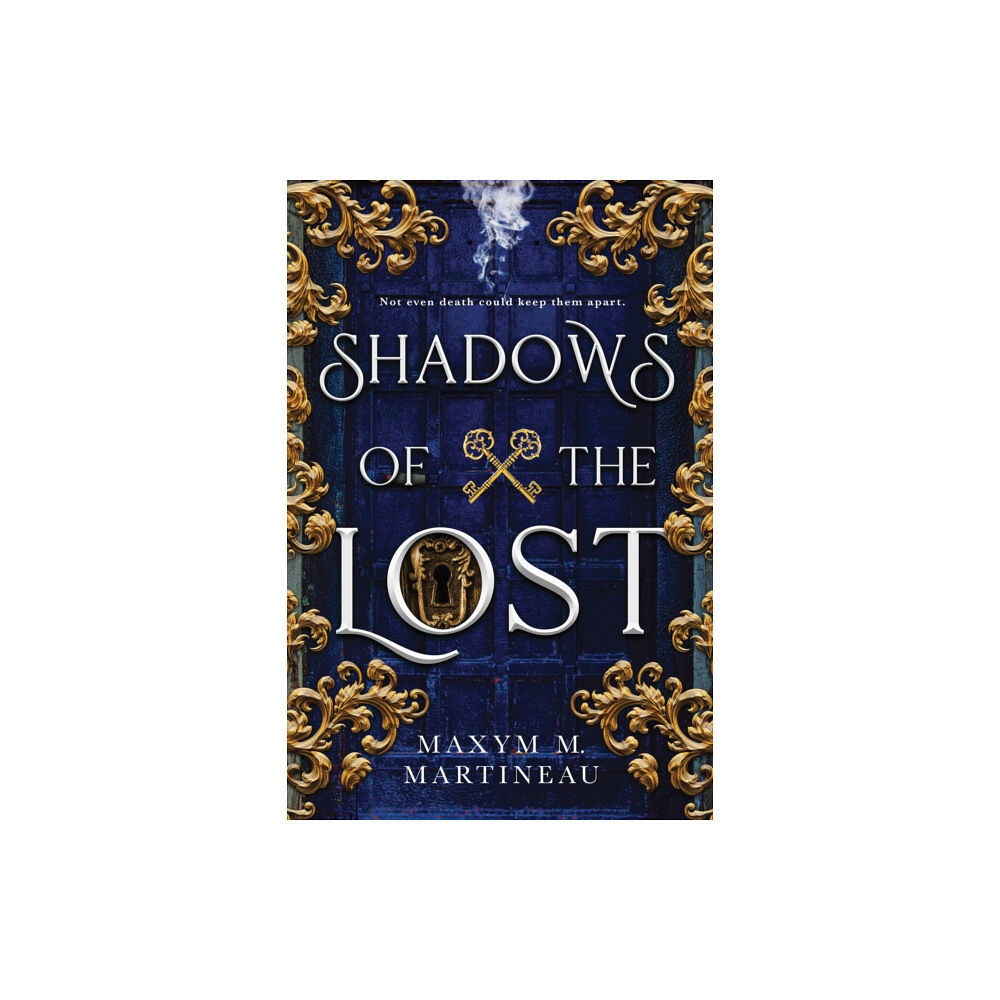 Sourcebooks, Inc Shadows of the Lost (häftad, eng)