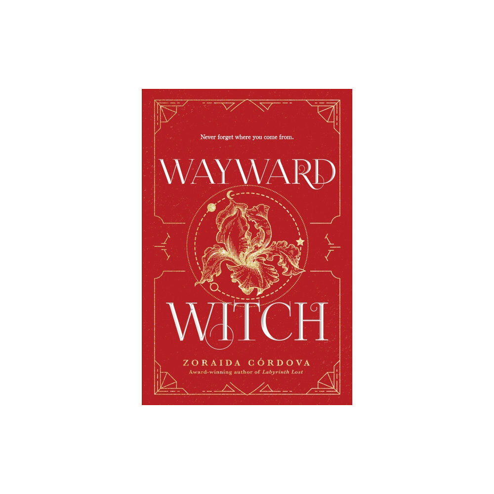 Sourcebooks, Inc Wayward Witch (häftad, eng)