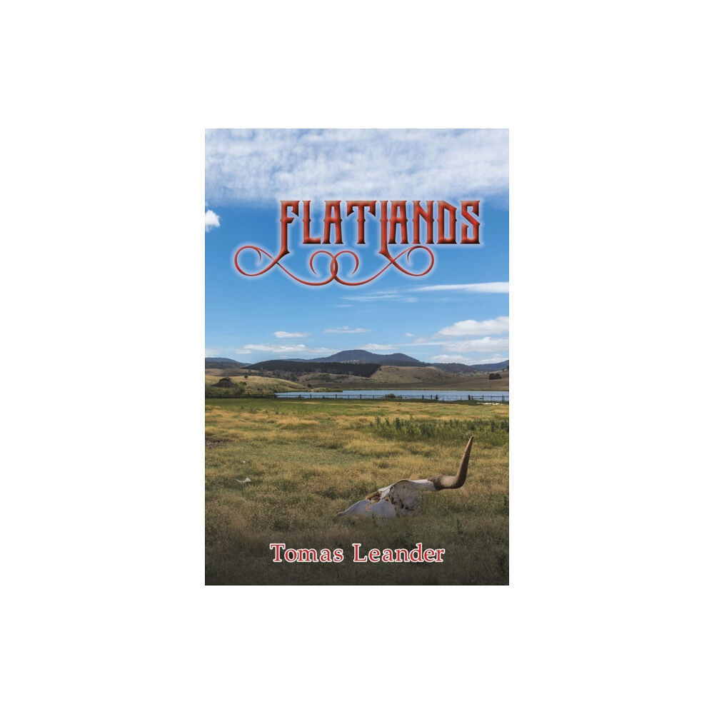 Austin Macauley Publishers LLC Flatlands (häftad, eng)