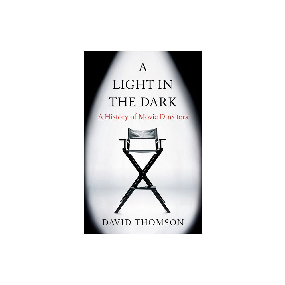 Orion Publishing Co A Light in the Dark (häftad, eng)