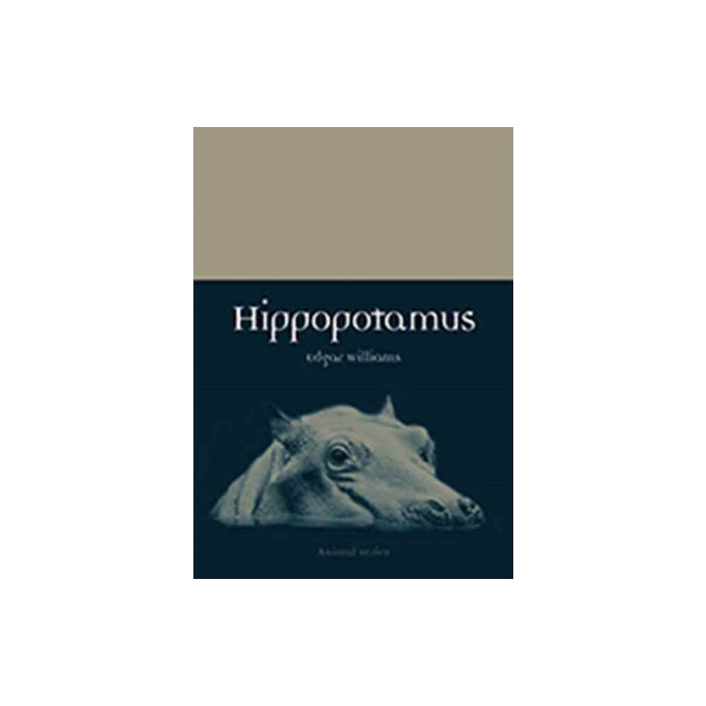 Reaktion Books Hippopotamus (häftad, eng)