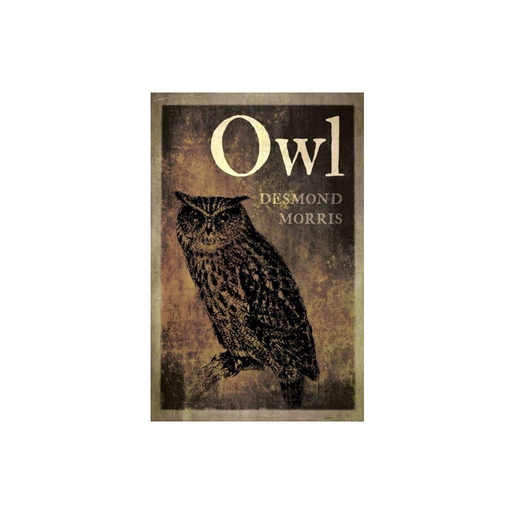 Reaktion Books Owl (häftad, eng)