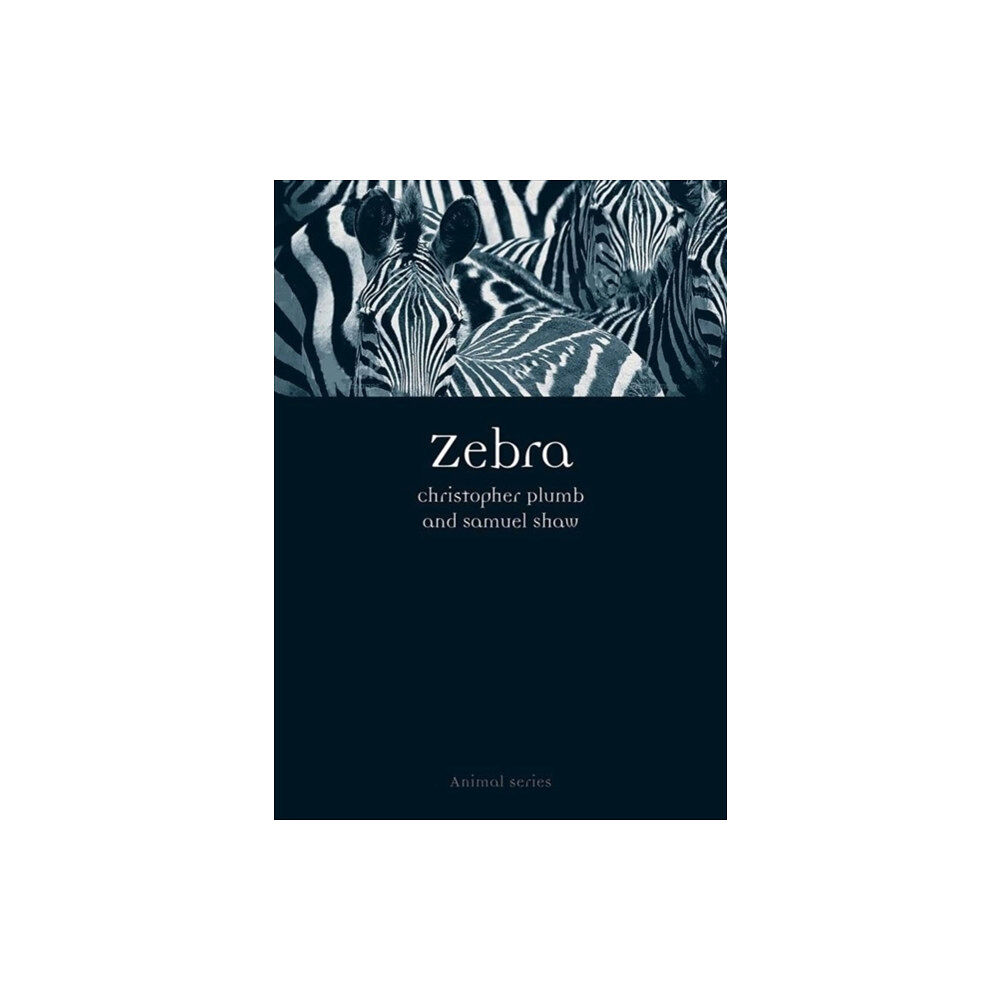 Reaktion Books Zebra (häftad, eng)