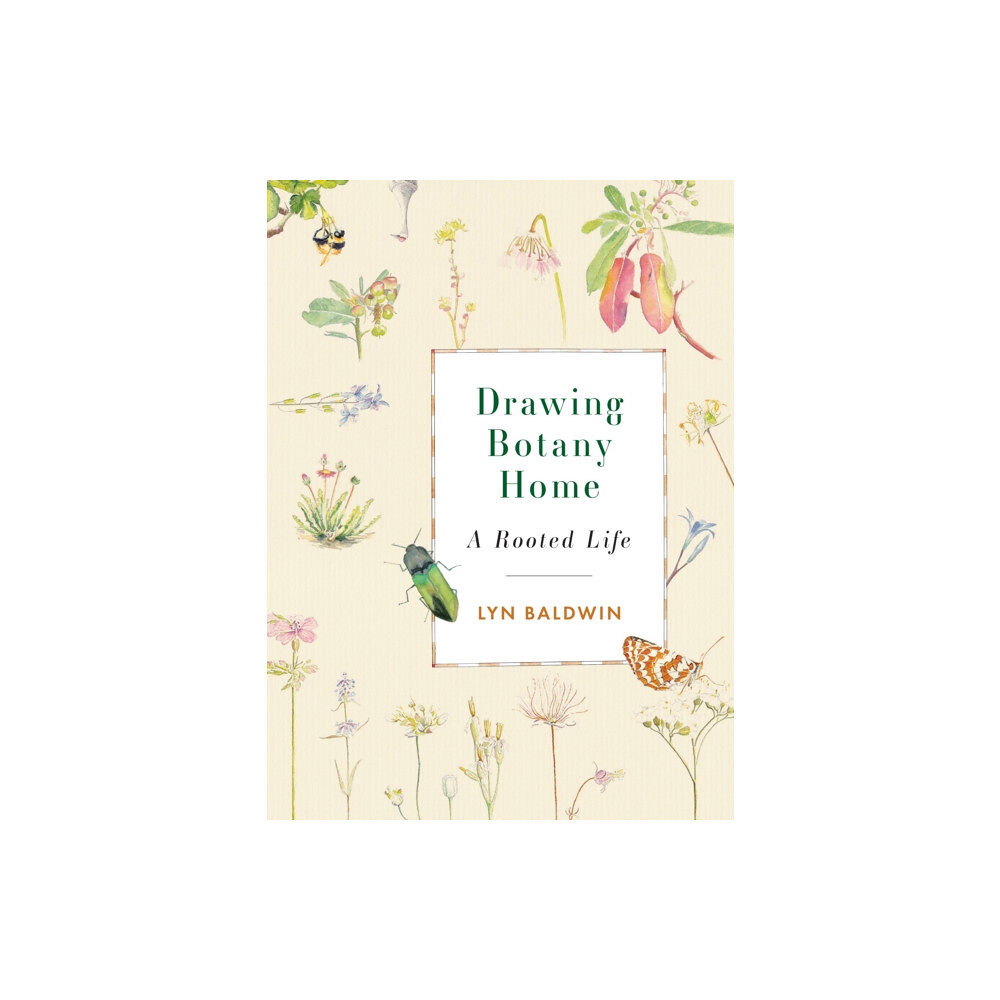 Rocky Mountain Books Drawing Botany Home (häftad, eng)