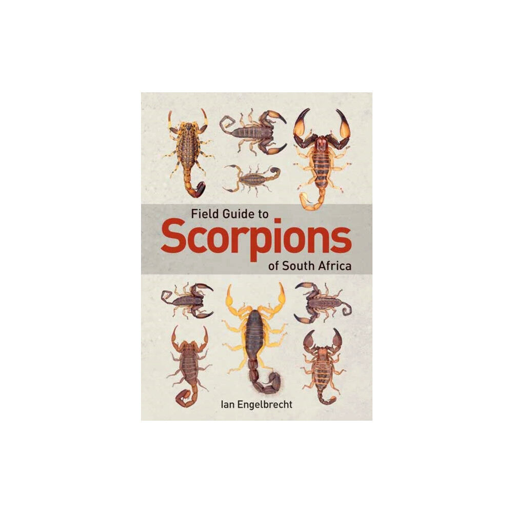 Penguin Random House South Africa Field Guide to Scorpions of South Africa (häftad, eng)