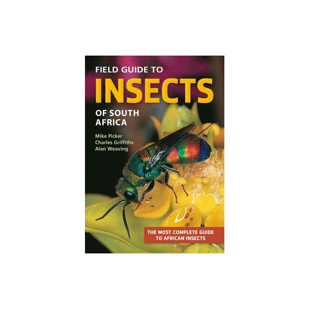 Penguin Random House South Africa Field Guide to Insects of South Africa (häftad, eng)