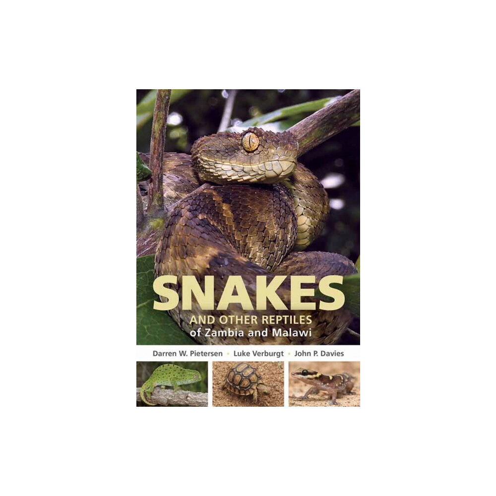 Penguin Random House South Africa Field Guide to Snakes and other Reptiles of Zambia and Malawi (häftad, eng)