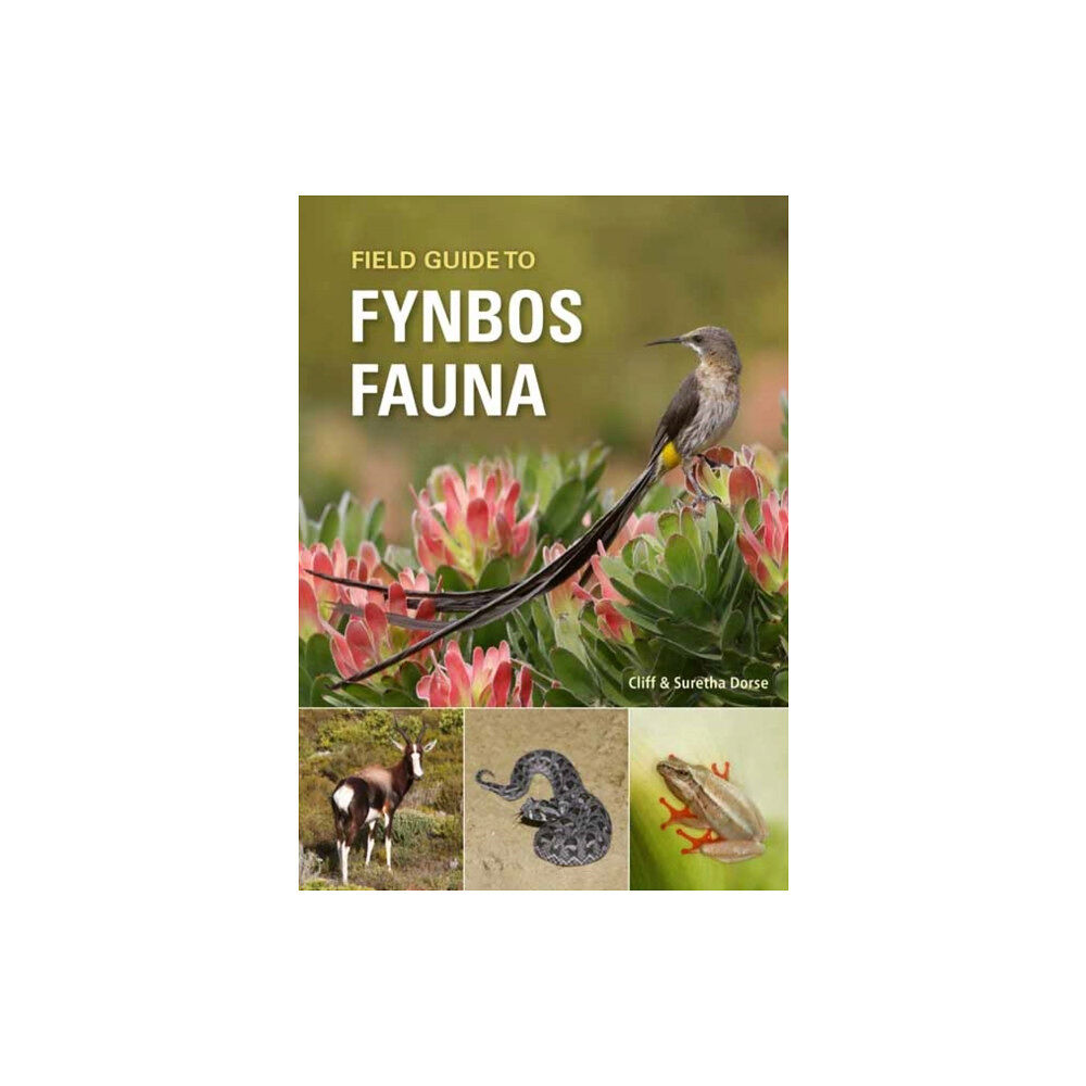 Penguin Random House South Africa Field Guide to Fynbos Fauna (häftad, eng)