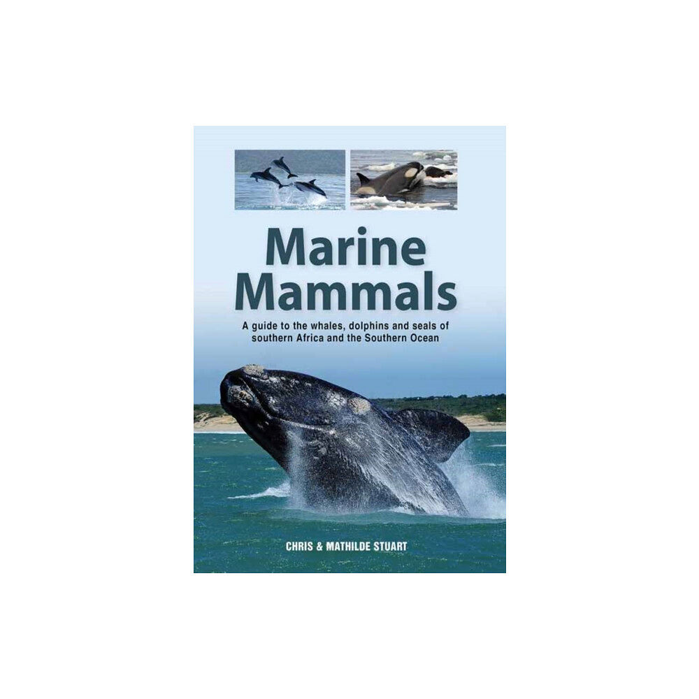 Penguin Random House South Africa Marine Mammals (häftad, eng)