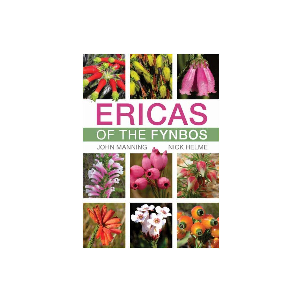 Penguin Random House South Africa Ericas of the Fynbos (häftad, eng)