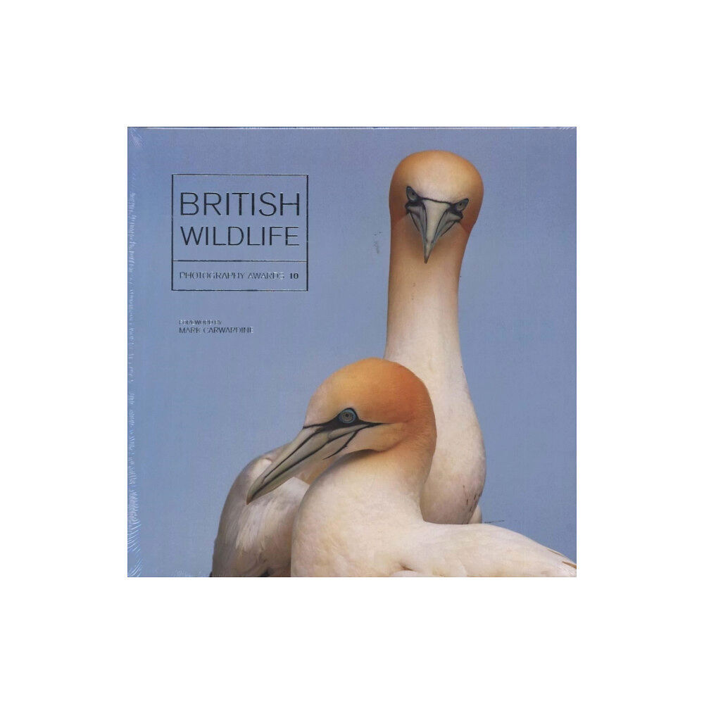 GMC Publications British Wildlife Photography Awards 10 (inbunden, eng)