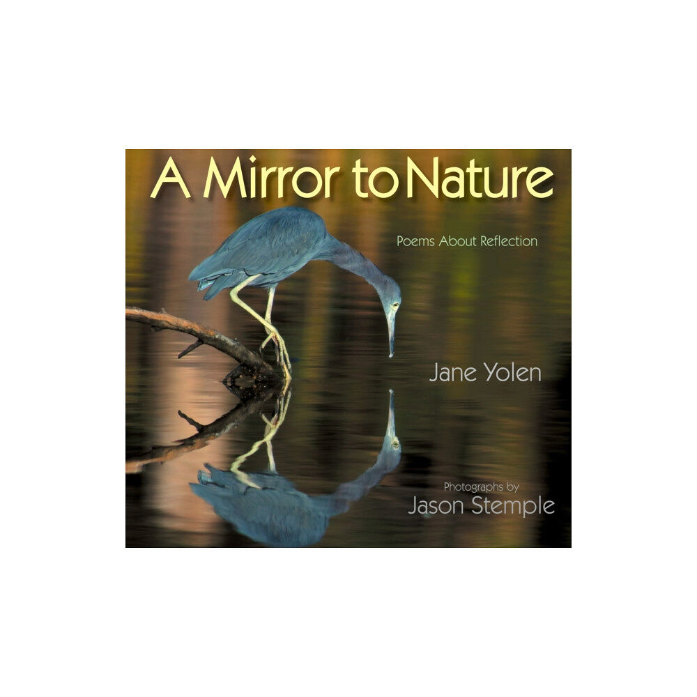 Astra Publishing House Mirror to Nature, A (häftad, eng)