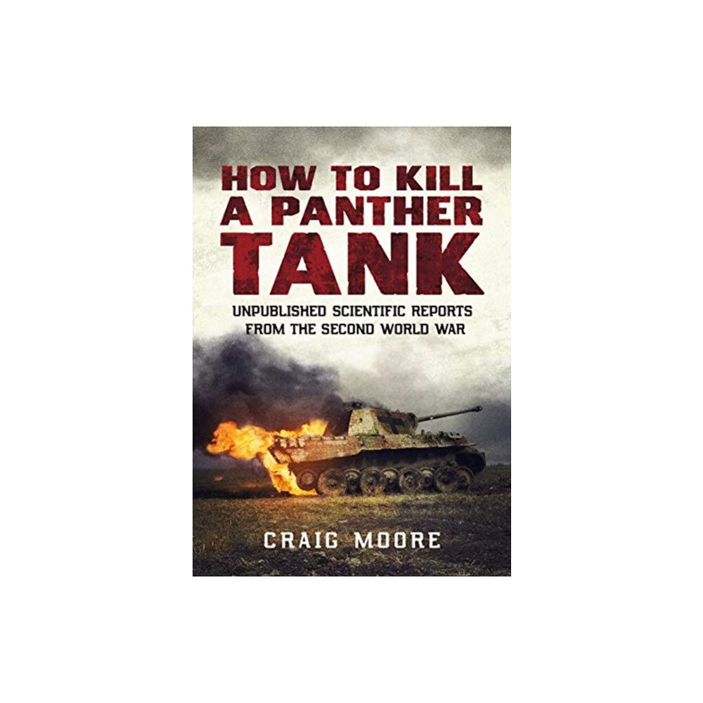 Fonthill Media Ltd How to Kill a Panther Tank (häftad, eng)