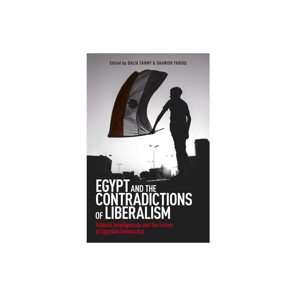 Oneworld Publications Egypt and the Contradictions of Liberalism (häftad, eng)