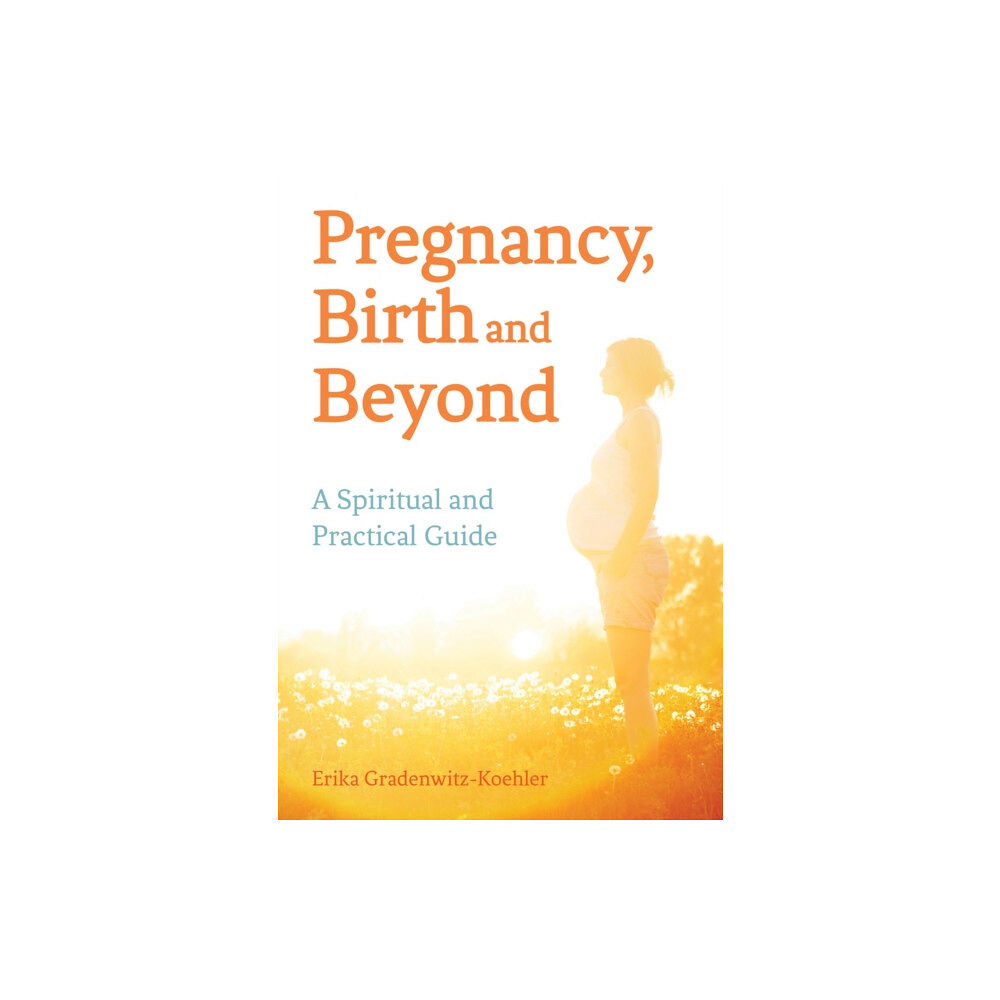 Floris Books Pregnancy, Birth and Beyond (häftad, eng)