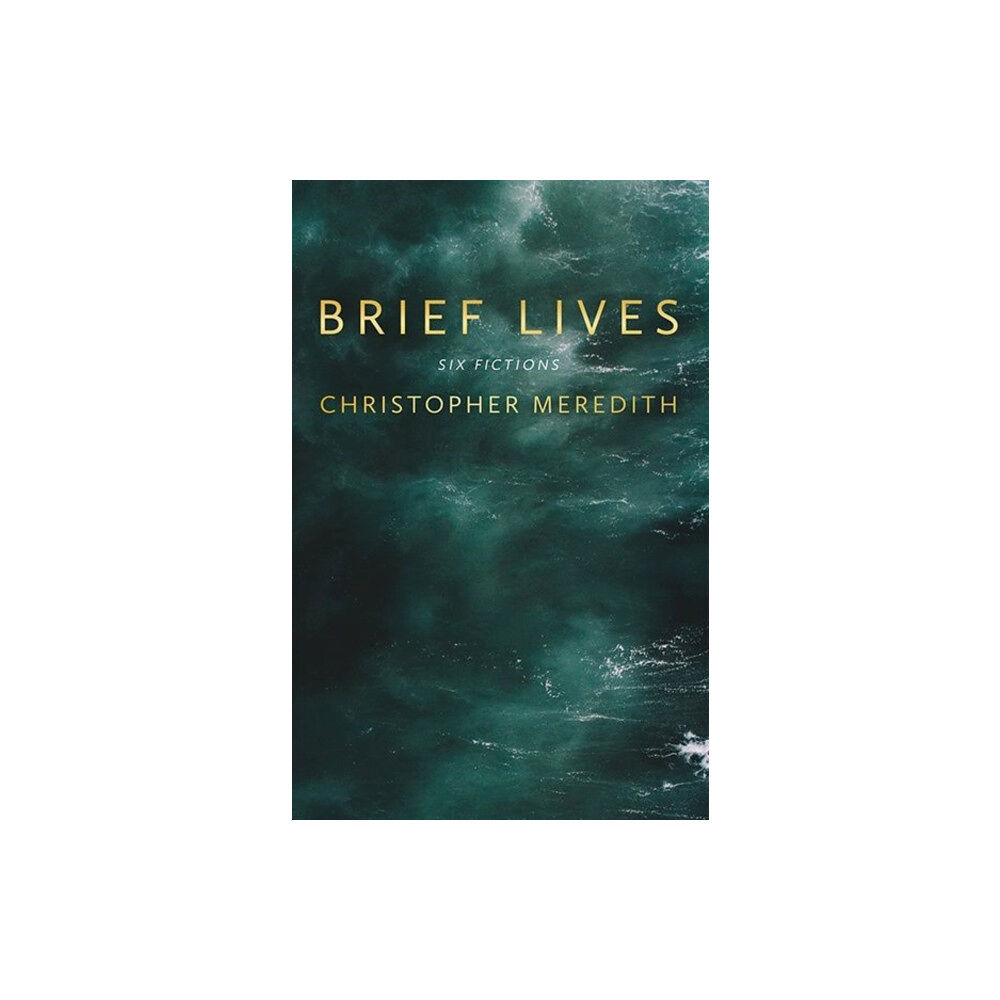 Poetry Wales Press Brief Lives (inbunden, eng)