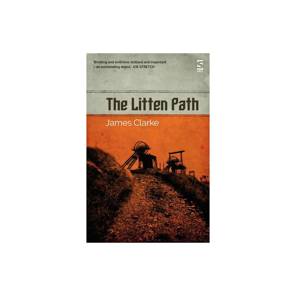 Salt Publishing The Litten Path (häftad, eng)