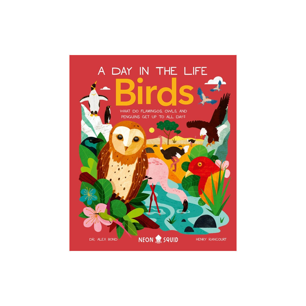 St. Martin's Publishing Group Birds (A Day in the Life) (inbunden, eng)