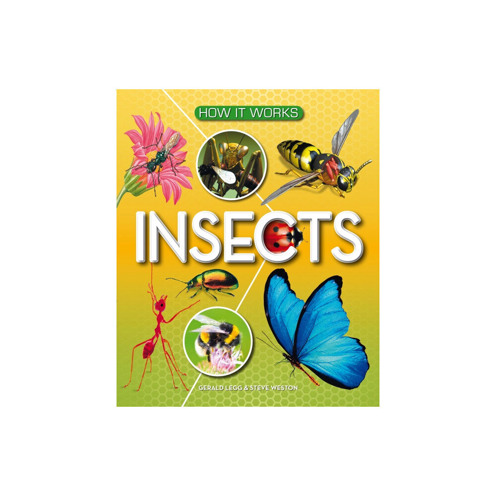 Award Publications Ltd How It Works: Insects (inbunden, eng)