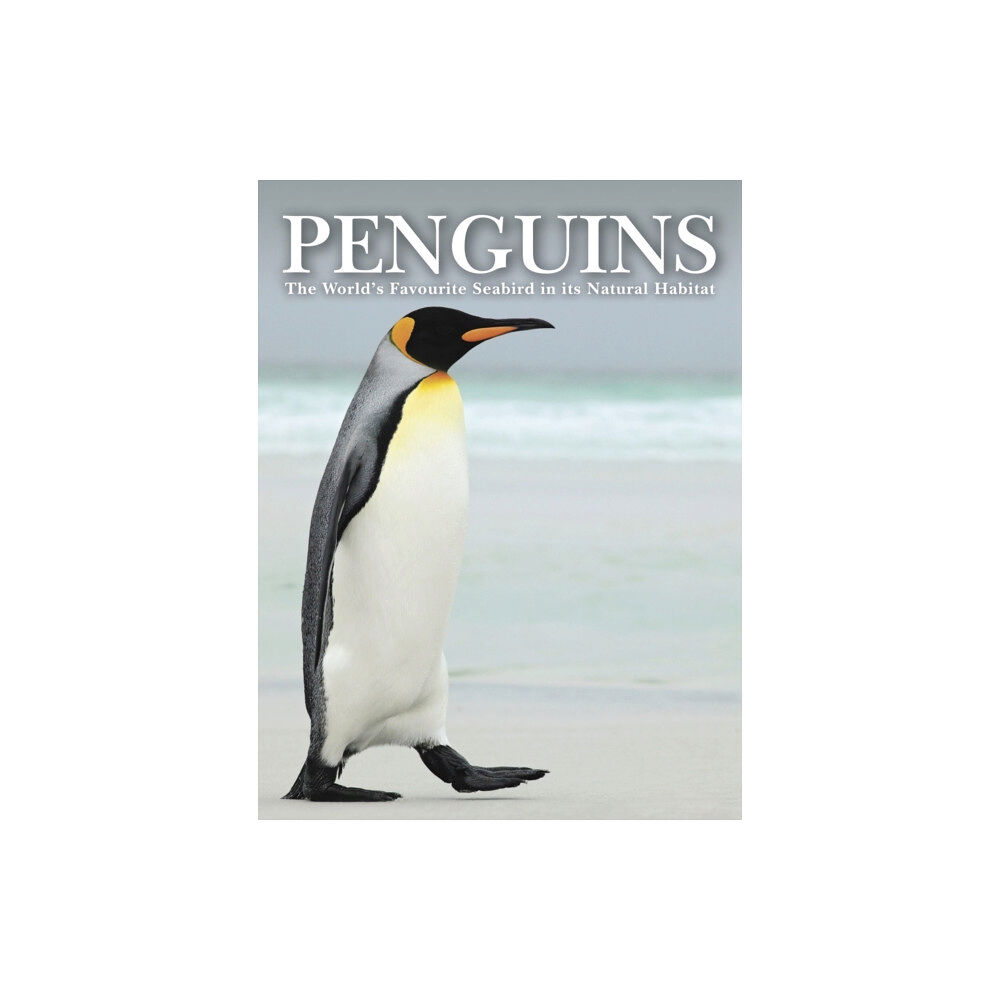 Amber Books Ltd Penguins (inbunden, eng)