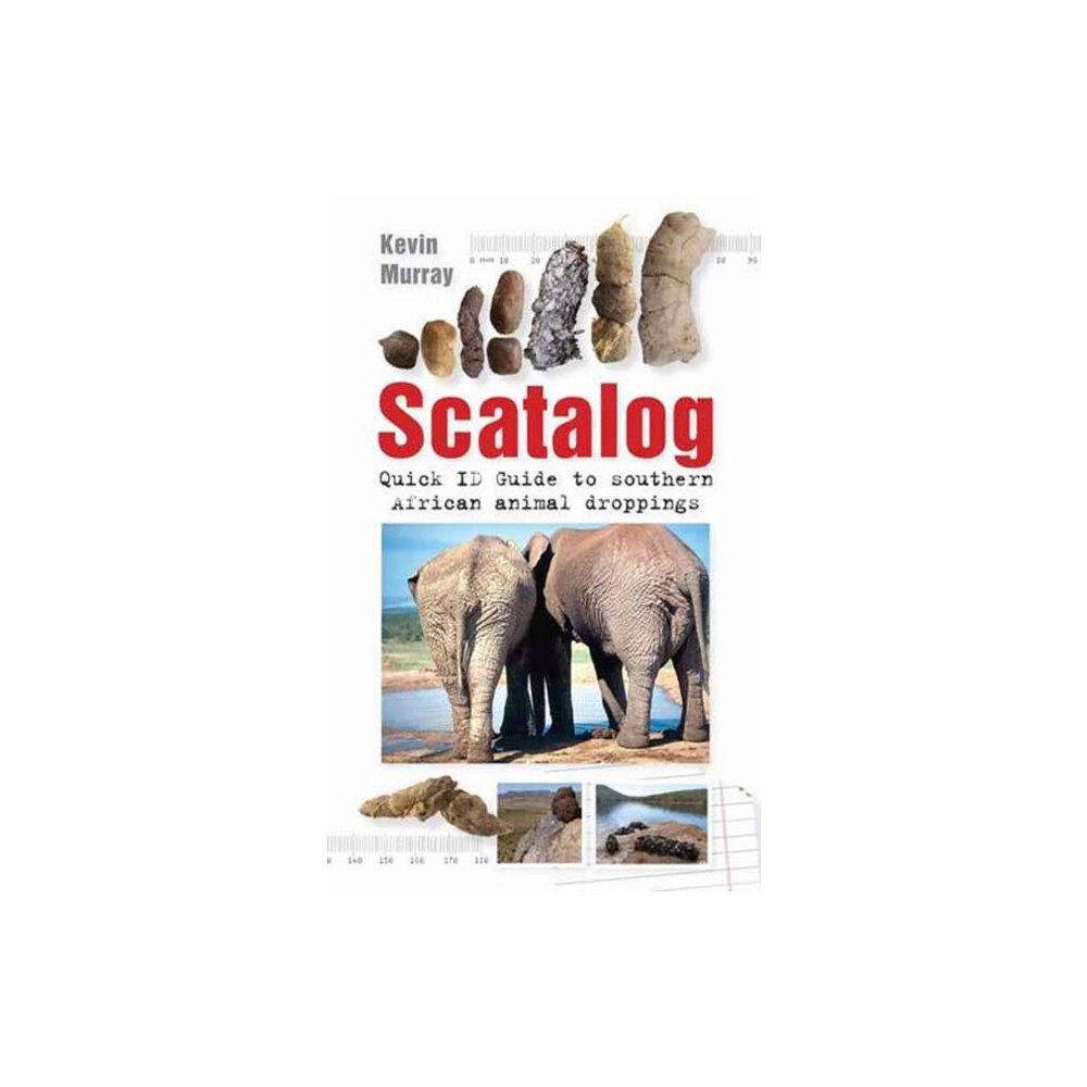 Penguin Random House South Africa Scatalog (häftad, eng)