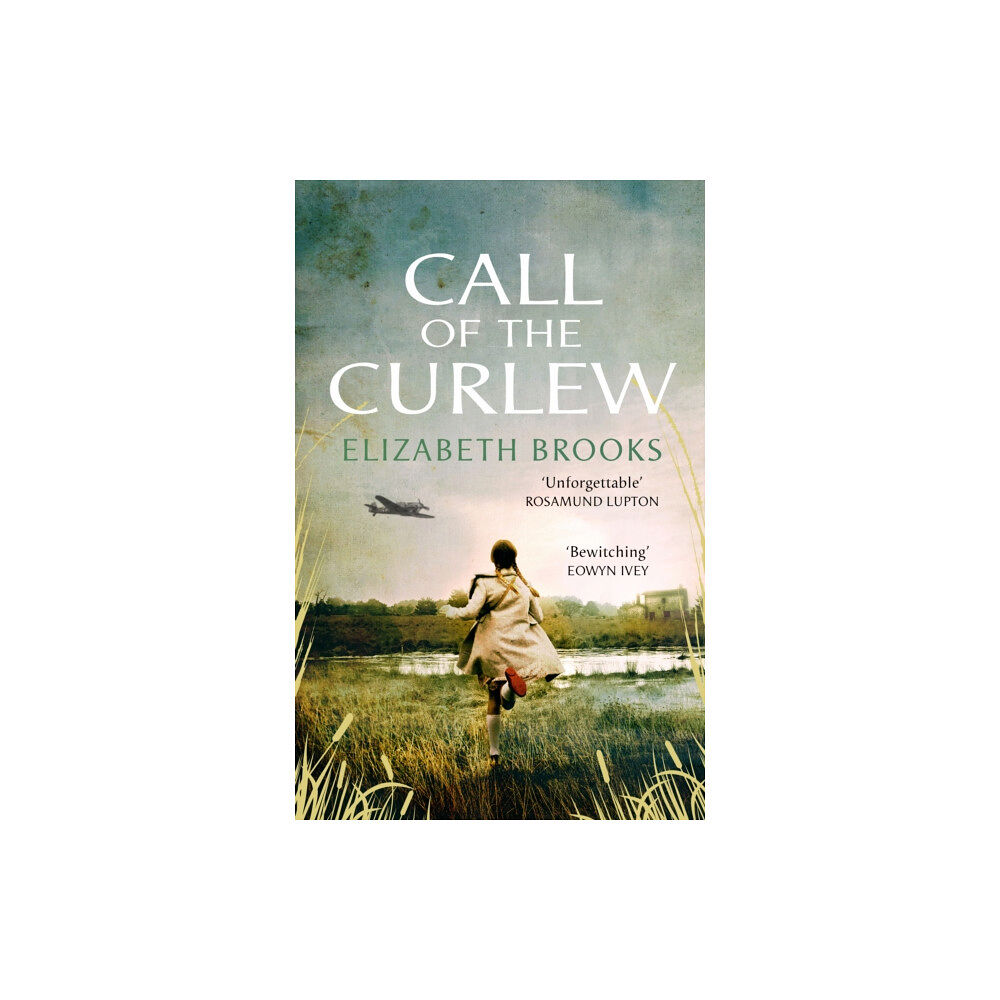 Transworld publishers ltd Call of the Curlew (häftad, eng)