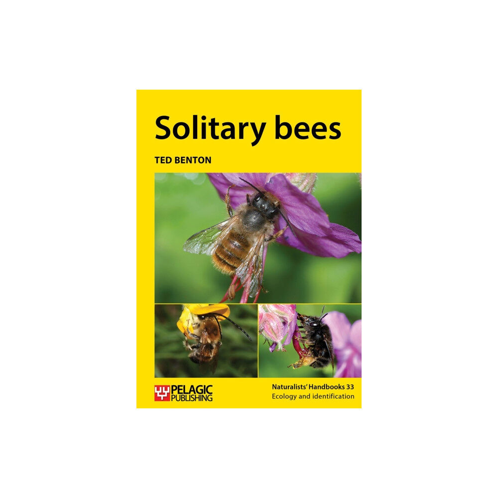 Pelagic Publishing Solitary bees (häftad, eng)