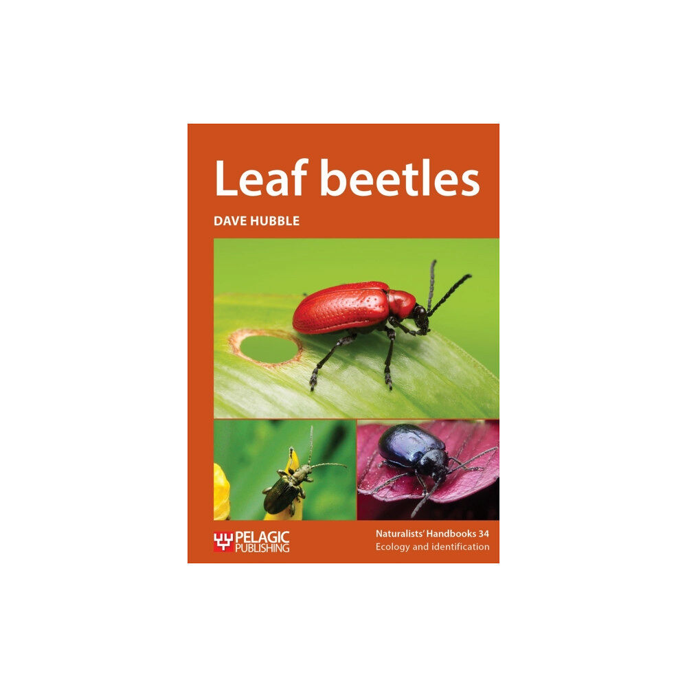 Pelagic Publishing Leaf beetles (häftad, eng)